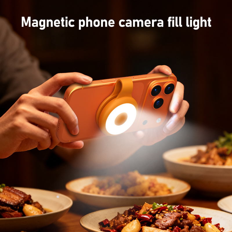 Магнитный заполняющий светильн – обзор и цена Photography Lighting Brands